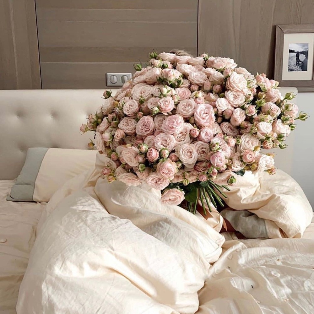 Meet your Posher, Mireya